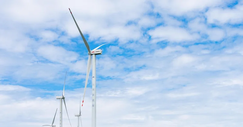 What Are the 5 C’s of Sustainable Development?