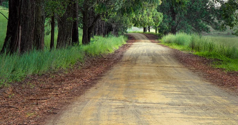 Crafting a Campaign That Converts